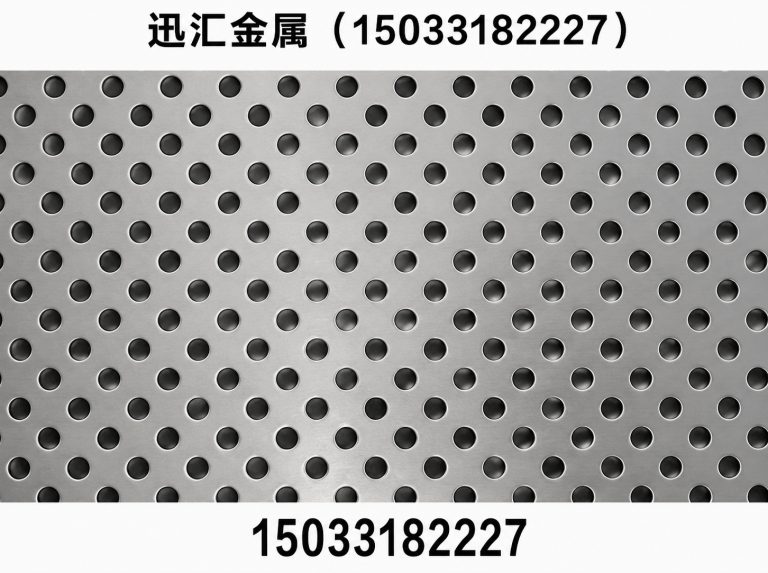 阜城县冲孔网展示图